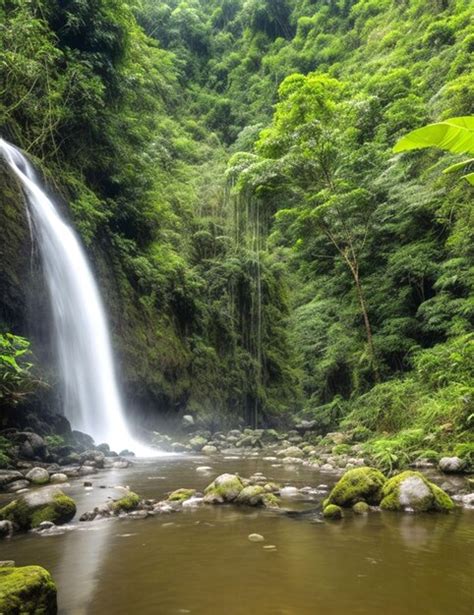 Cascada En El Bosque Tropical Foto Premium