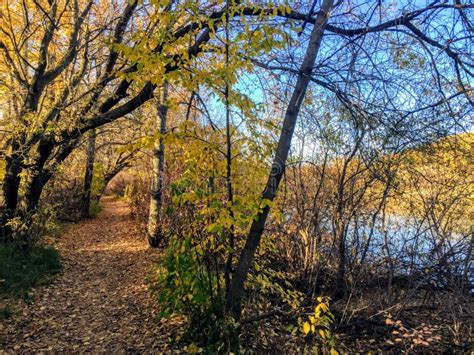 Autumn Trail Along the North Saskatchewan River Stock Photo - Image of ...