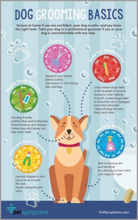 Dog Grooming Basics Infographic Dog Grooming Salons Dog Grooming