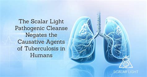 The Scalar Light Pathogenic Cleanse Negates The Causative Agents Of Tuberculosis In Humans