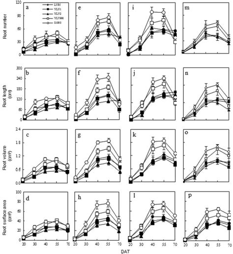 Root Morphological Traits And Spatial Distribution Under Different Nitrogen Treatments And Their