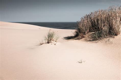 Dunas De Areia Na Costa Da Ba A Do Mar Foto Premium