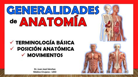 🥇 Generalidades De AnatomÍa Posición Anatómica Terminología