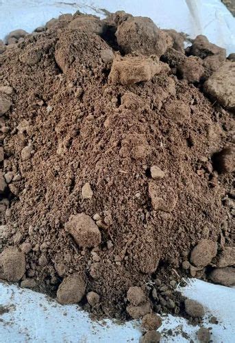 Organic Cow Dung Manure At Rs 5 Kg Cow Dung Powder In Kanth ID