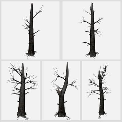 Burnt Tree Collection by AntonioKowatsch