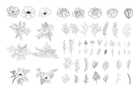 Hand Drawn Floral Vector Collection Free Design Resources