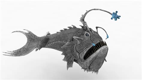 ArtStation - angelfish | Game Assets