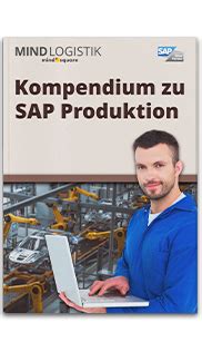 Sap Mfs Materialflusssteuerung In Automatisierten Lagern Mindlogistik