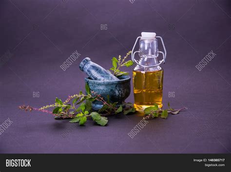 Tulsi Oil Holy Basil Image & Photo (Free Trial) | Bigstock