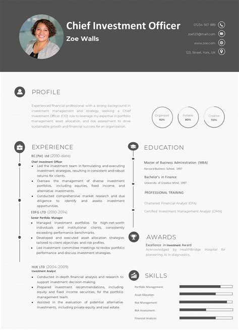 Chief Investment Officer CIO CV Example