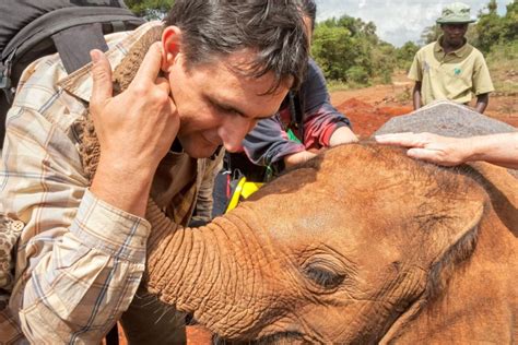 The David Sheldrick Wildlife Trust Shadows Of Africa