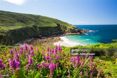 Cornish Coastal Scenery At Porthmeor Cove Near Zennor Uk High Res Stock