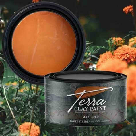 Lermaling Marigold Terra Clay Paint By Dixie Belle