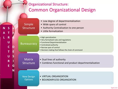 Organizational Structure And Design Ppt