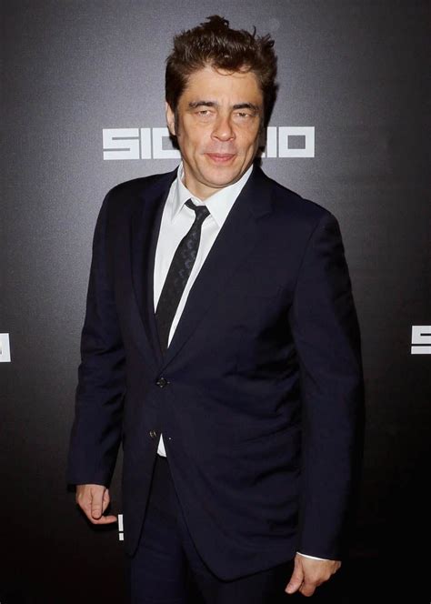 Benicio Del Toro is sexy in Sicario|Lainey Gossip Entertainment Update