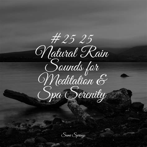 25 25 Natural Rain Sounds For Meditation Spa Serenity Album By