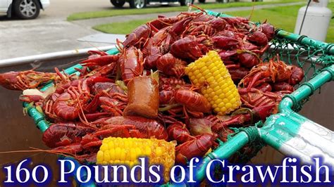 Massive Crawfish Boil With Gator Pots 2019 Youtube