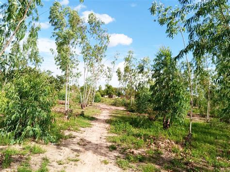 UN TERRAIN A VOCATION ENSEIGNEMENT DUNE SUPERFICIE DE 10 000 M² EN