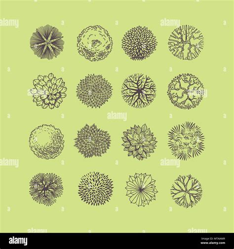 Trees Top View Different Plants And Trees Vector Set For Architectural