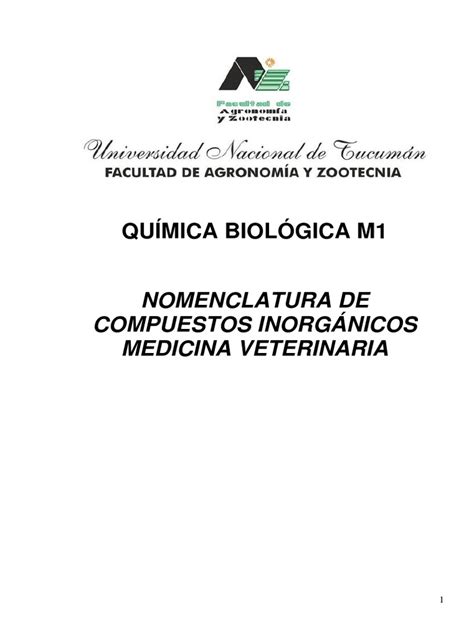 Nomenclatura Inorgánica Pdf Descargar Gratis Pdf Ácido Elementos