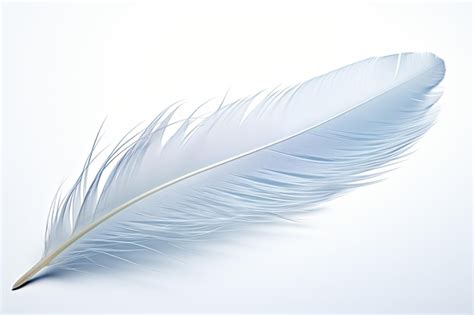 Premium Ai Image Bird Feather Isolated On White