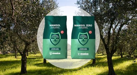 Manisol Un Alternativa Nella Difesa Dalla Mosca Dell Olivo Pierucci