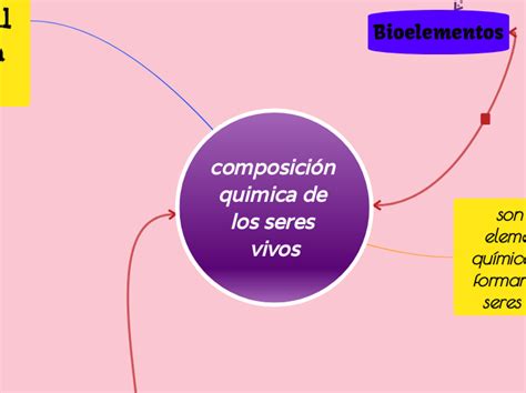 Composicion Quimica De Los Seres Vivos Mind Map