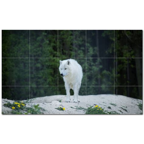 Picture Wolf Photo 12 X 12 Satin Ceramic Decorative Mural Wayfair