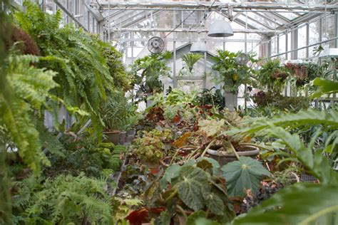 MARTHA MOMENTS: Martha's Conservatory Greenhouse