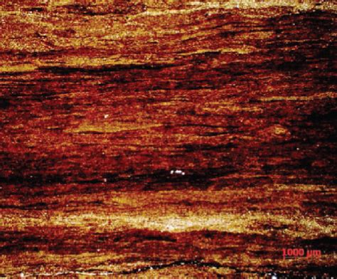 Micrograph Of Shale Lamina Types Of The Chang Member In Ordos Basin