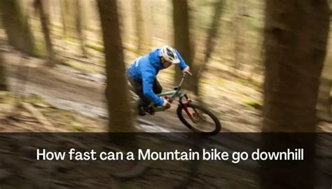 How Fast Can A Mountain Bike Go Downhill The Mount Bike