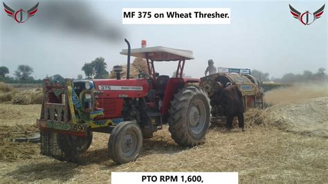 Mf 375 On Wheat Thresher Youtube