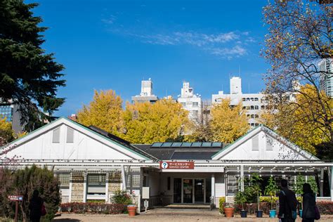 Shinjuku Gyoen - One Of The Best Parks In Tokyo - Ordinary Reviews