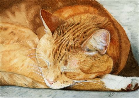 GINGER CAT Giclée Print Cat Painting Watercolour Painting | Etsy