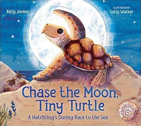 The Best Childrens Books About Turtles And Tortoises Turtleholic