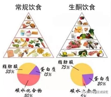 【科普】生酮饮食（ketogenic Diet） 知乎