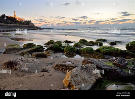 Tel Aviv old city Stock Photo - Alamy