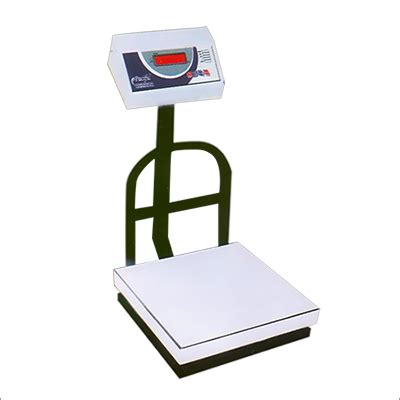 Washable Bench Scale At Best Price In New Delhi Delhi Pacific Scale