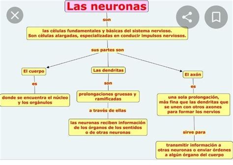 Que Es El Folclor Peruano Mapa Conceptual Brainly Lat The Best Porn