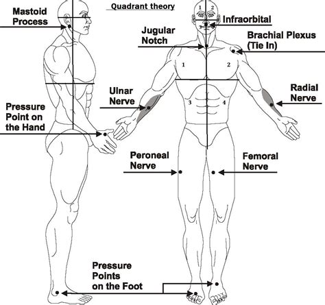 Pressure Points For Combat Tenketsu Jutsu Way Of Ninja