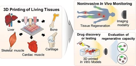 D Printed Liver Tissue