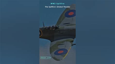 Facts About The Supermarine Spitfire In Ww2 The Spitfires Global