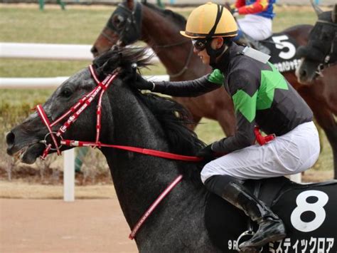 【桃山s】甥は名馬コントレイル 超良血ミスティックロアが2連勝でオープン入りなるか 競馬ニュース Netkeiba