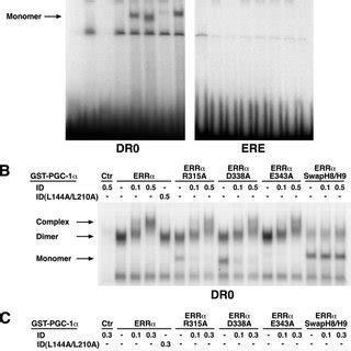 The H H Loop Region Of Pgc Affects Dna And Cofactor Binding Of