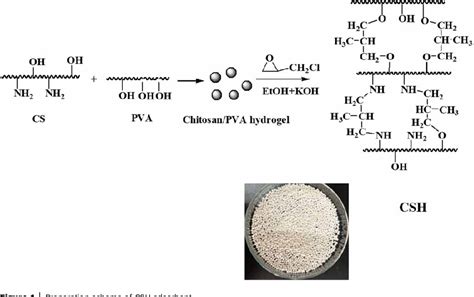 Table 1 From Synthesis Of Cross Linking Chitosan Pva Composite Hydrogel