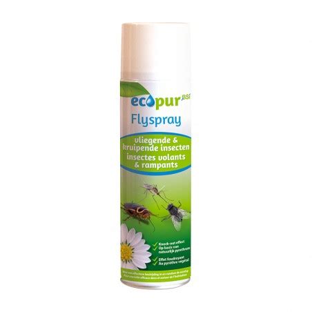 FlySpray Aérosol Insecticide au pyrèthre pour intérieur et extérieur