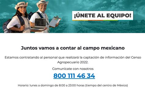 Feria del Empleo Neza 2022 Cuándo es y qué debo llevar Unión EDOMEX