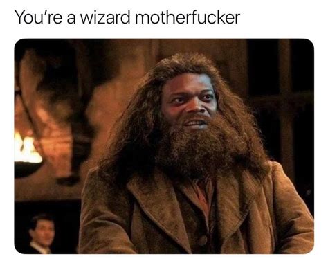 You're a Wizard, Harry!: Image Gallery (List View) (List View) | Know Your Meme