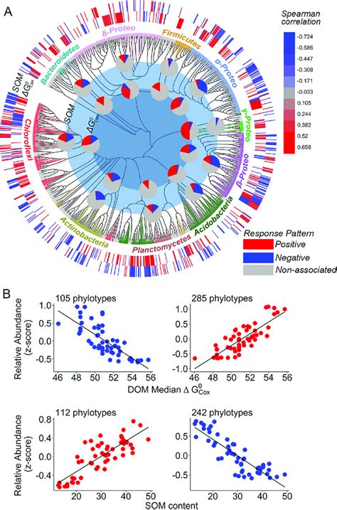 Identified Om Preference For Dominant Soil Bacterial Phylotypes And