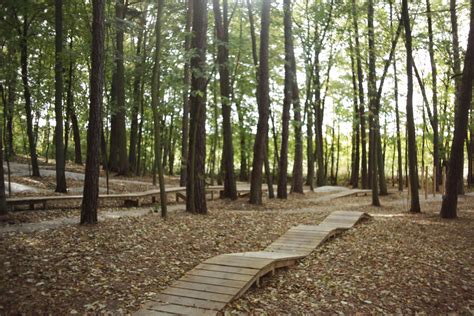 Iława Forest by Landscape Architecture Lab « Landscape Architecture Platform | Landezine